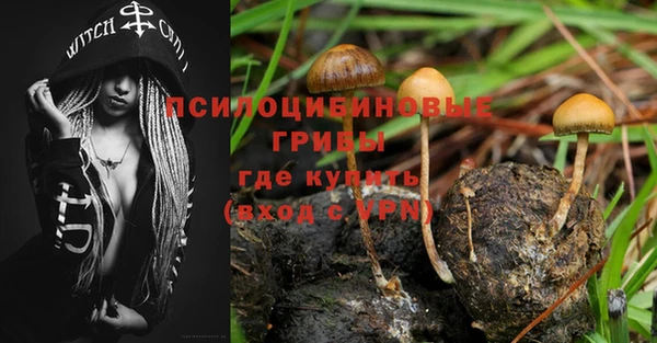 гидра Снежинск